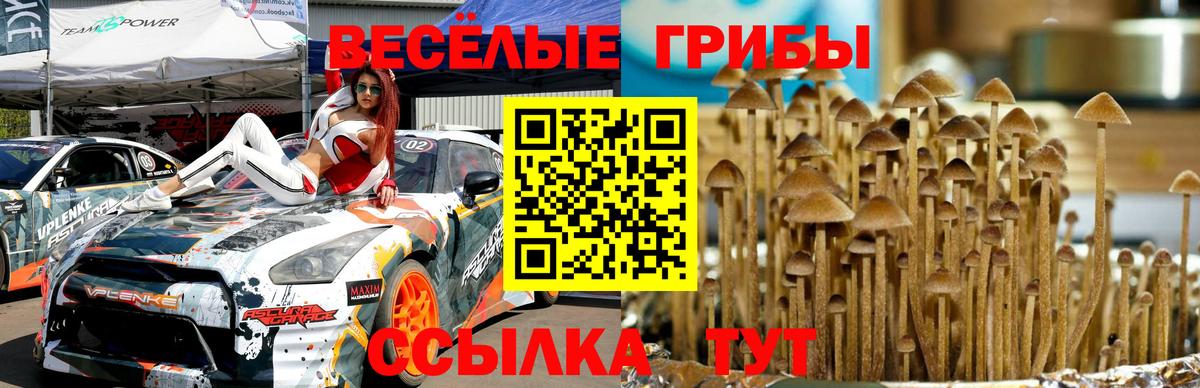 Озёрск  Галлюциногенные грибы Cubensis  наркотики  Вход с VPN 